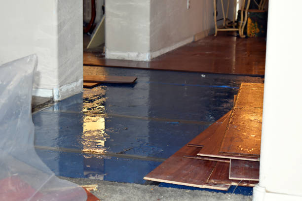 Professional Sewage Cleanup technician working in Aurora, MN